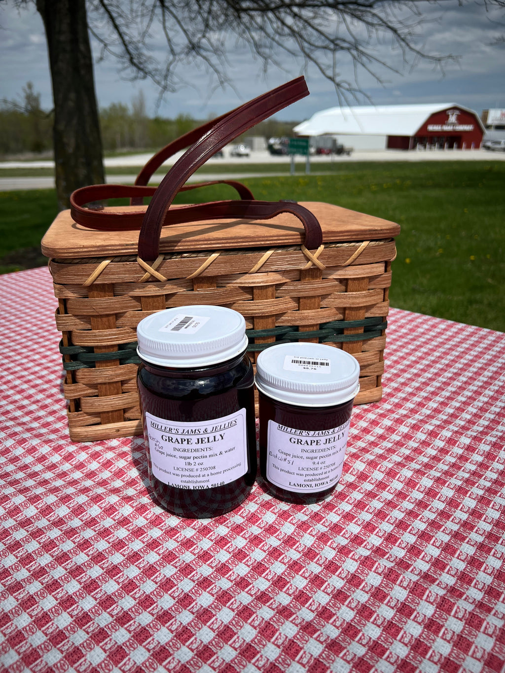 Miller's Grape Jelly – Authentic Amish-Made Fruit Spread