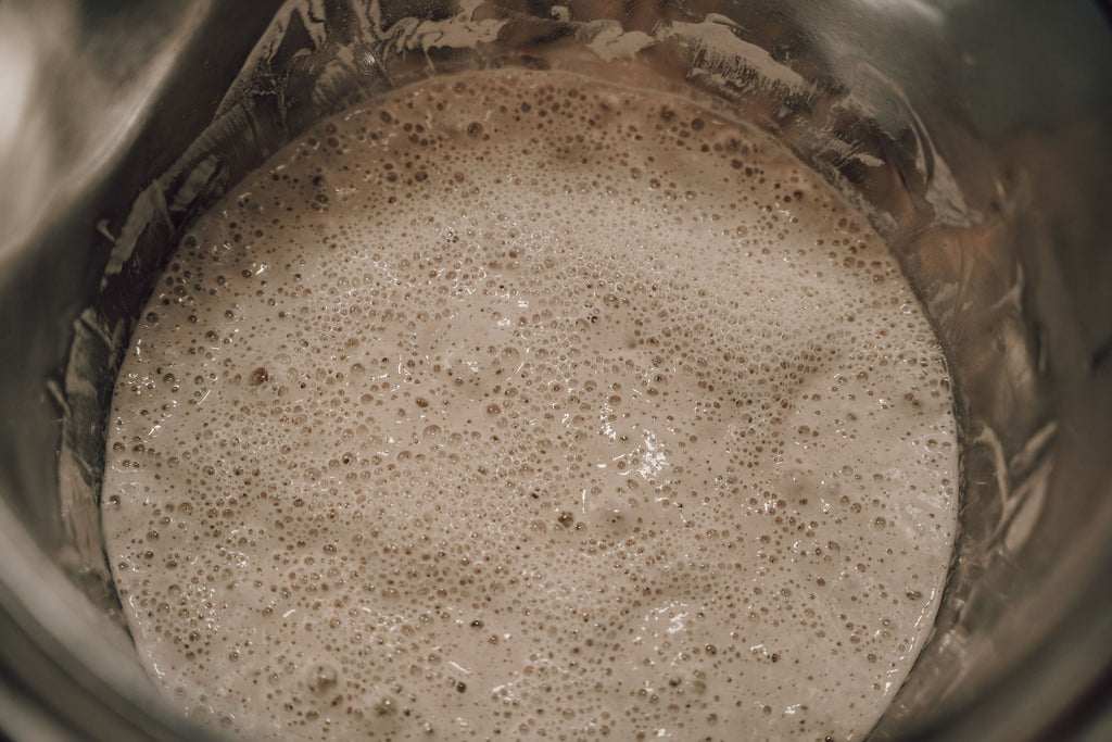 Onic Brands Dehydrated Sourdough Starter