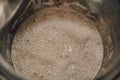 Onic Brands Dehydrated Sourdough Starter