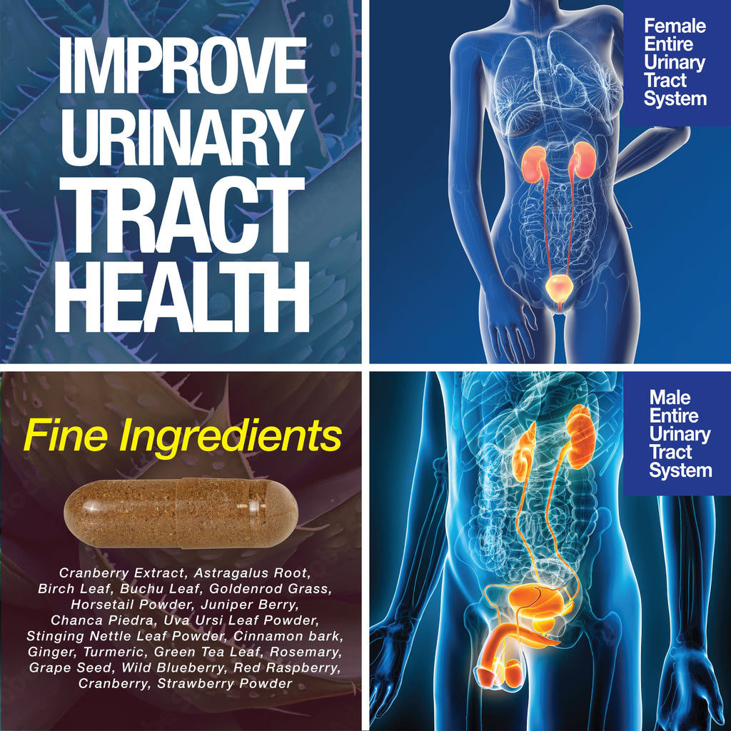 Kidney Support Cleanse Detox & Repair – 120 Capsules