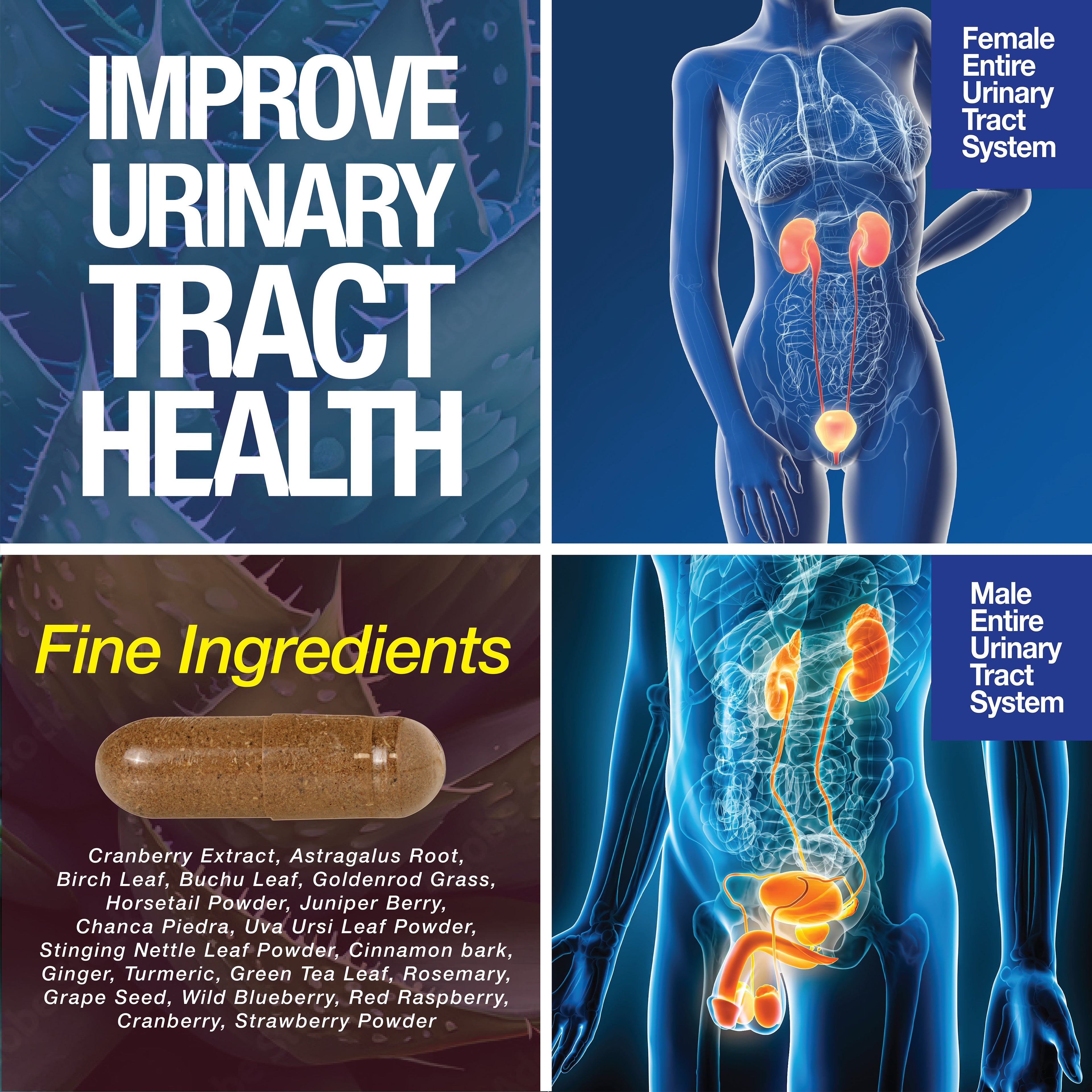 Kidney Support Cleanse Detox & Repair – 120 Capsules